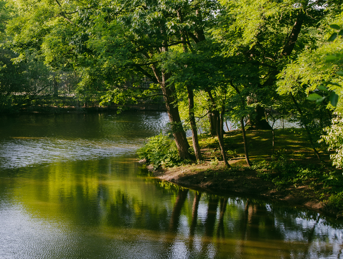 river and trees